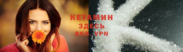 крисы Армянск
