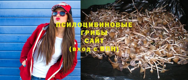 наркотики Медвежьегорск