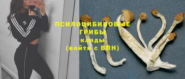 PSILOCYBIN Медногорск