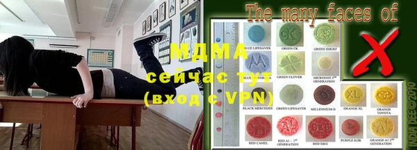 ГАЛЛЮЦИНОГЕННЫЕ ГРИБЫ Аркадак
