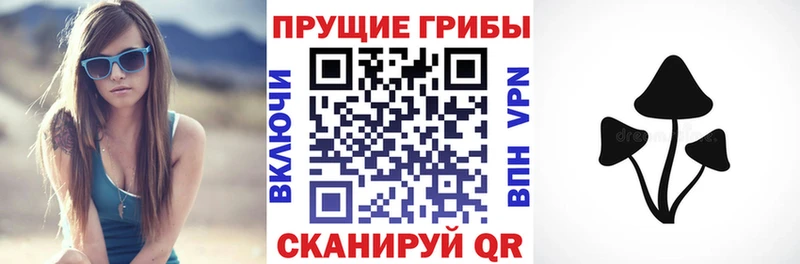 Псилоцибиновые грибы Psilocybine cubensis  Александровск 